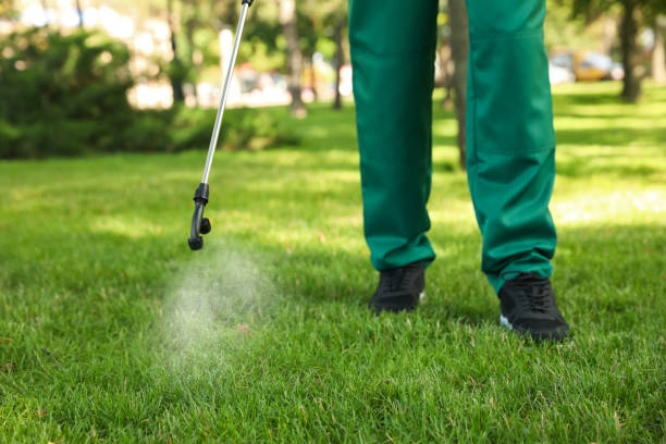 Best Bed Bug Extermination  in Moses Lake North, WA