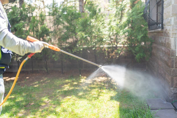 Best Flea Control Services  in Moses Lake North, WA